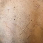 sfx scars